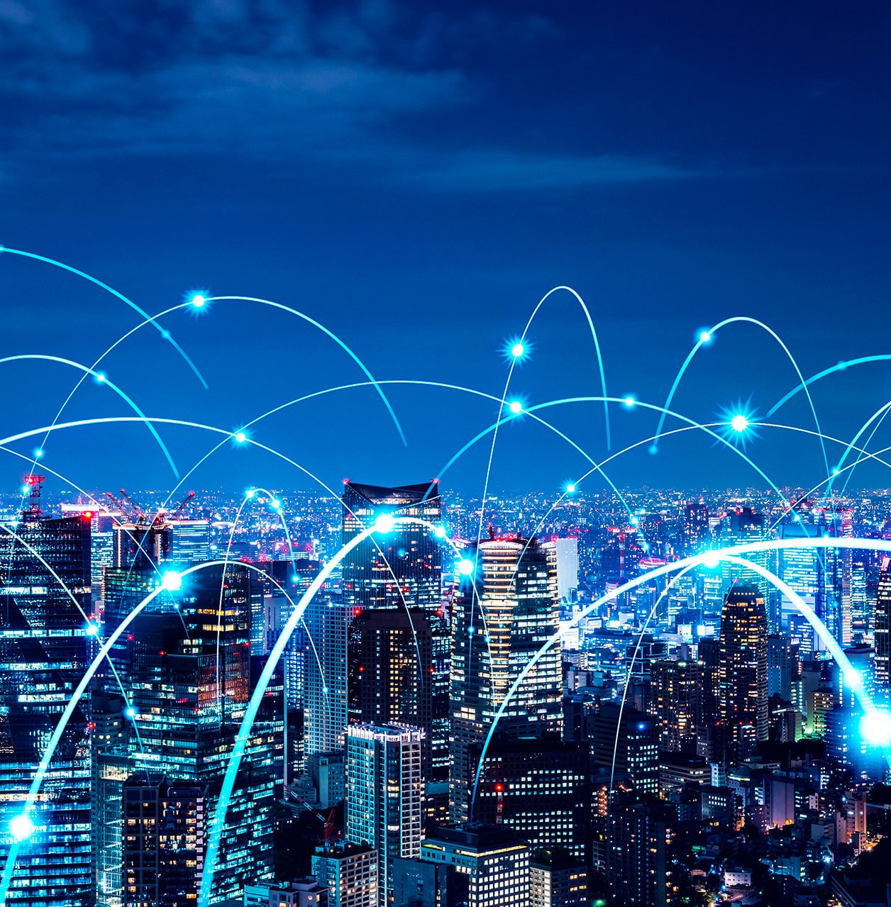 Fiber Optic Network Management